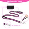 WINSEE Pet Harness Collar and Leash Set, All-in-one Reflective Dog