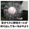 Funny Sticker Car Window Glass Baseball Inlay Joke Proud