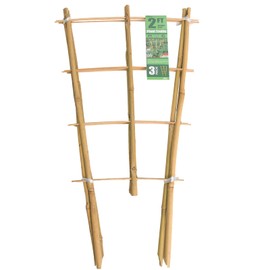 Sprigra Bamboo Trellis 2FT 3 Pack, Natural Bamboo Plant Ladder Stakes 24 Inches, Fan-Shaped Plant Trellis for Orchid Vines, Monarchs, Ivy and Other Plants Climbing, Help Plant Growth