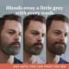 Just For Men Control GX Grey-Reducing Beard Shampoo for Subtle,