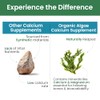 PURENUTRITION ME Pure Nutrition Cal D - Plant Based Calcium