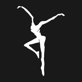 WSQ Fire Dancer Vinyl Premium Quality White for Car Bumper Truck Van SUV Window Wall Boat Cup Tumblers Laptop or Any Smooth Surface Size 7 Inches