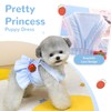 XGDMEIL Cute Strawberry Small Dog Dress with D-Ring Princess Lace