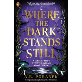 Where the Dark Stands Still: A sweeping, gothic YA fairytale romance