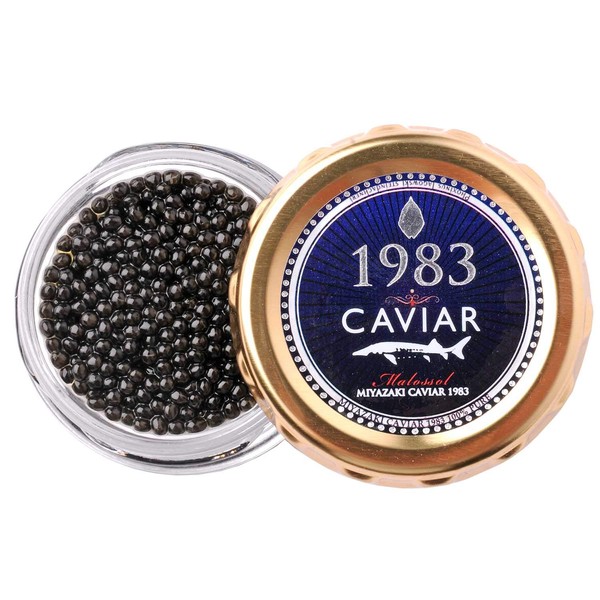 Japan Caviar 1983 Miyazaki Caviar 1983 1983 0.7 oz (20 g) (Includes Original Shell Spoon / Gift Box Included, White Sturgeon), Domestic Caviar, Sturgeon, Gift, Birthday, Snacks, Present, High Quality