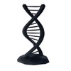 DNA Double Helix Science Gift 3D Printed