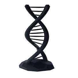 DNA Double Helix Science Gift 3D Printed