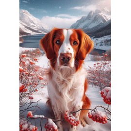 Brittany Spaniel - Best of Breed DCR Winter Berries Garden Flag 12" x 17"