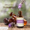 Lavanda - Aceite Esencial Puro 15 ml - Grado Terapéutico