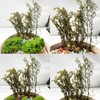 Cayway Miniature Shrubs Model Bushes Long Shrub Vegetation Groups Static