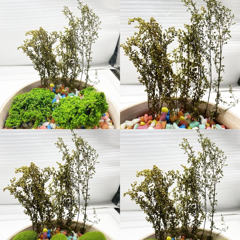 Cayway Miniature Shrubs Model Bushes Long Shrub Vegetation Groups Static