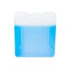 Sarah Wells Cold Gold Breastmilk Cooler Bag with Ice Pack
