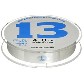 Breaden / fluorocarbon 160m 4.0Lb