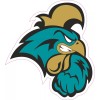 Coastal Carolina Inspired Full Size Football Helmet Decals