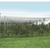 Windhager 06772 Hail Protection Net Pond Net Harvest Net Mesh