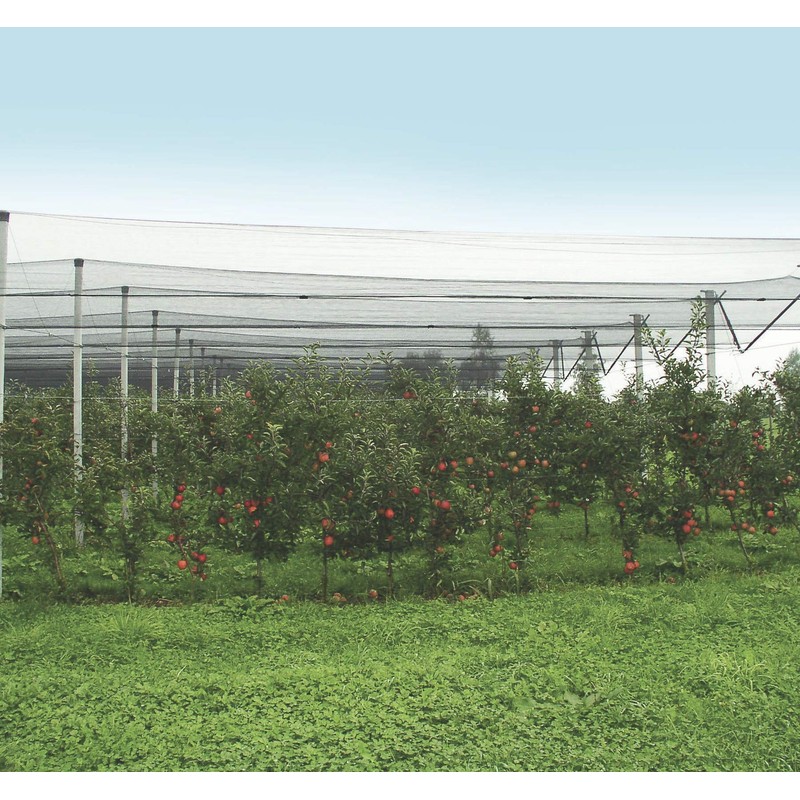 Windhager 06772 Hail Protection Net Pond Net Harvest Net Mesh