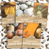 Organic Winter Squash Seeds Home Garden Variety Pack - Non-GMO