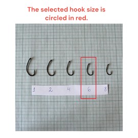 PRO FILSTAR Carp Fishing Hook Set with Leader & Swivel 5 Pieces, N6, Braided Line 25 cm - Fishing Carp Accessories - Carp Fishing Hook - Boilies & Pellet Hooks - Method Feeder - Leader Line - Sport