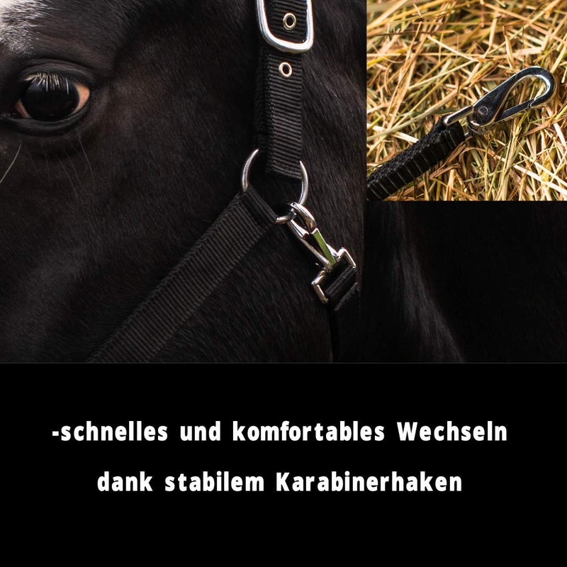 Pferdelinis Halter for Warmblood, Thoroughbred, Cold Blood, Pony - Stable