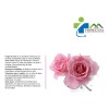 Agua De Rosas Antioxidante Relajante Tónico Facial 5 L