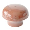 First Plast cdvm100t Ventilation Hat Head esalatore, Red, Diameter 100 mm