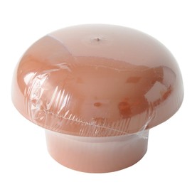 First Plast cdvm100t Ventilation Hat Head esalatore, Red, Diameter 100 mm