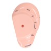 6.7in Ear Acupuncture Model Silicone Engraving Ear Massage Acupuncture Model