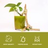 SVATV Giloy Powder | Guduchi | Tinospora cordifolia Stem Powder