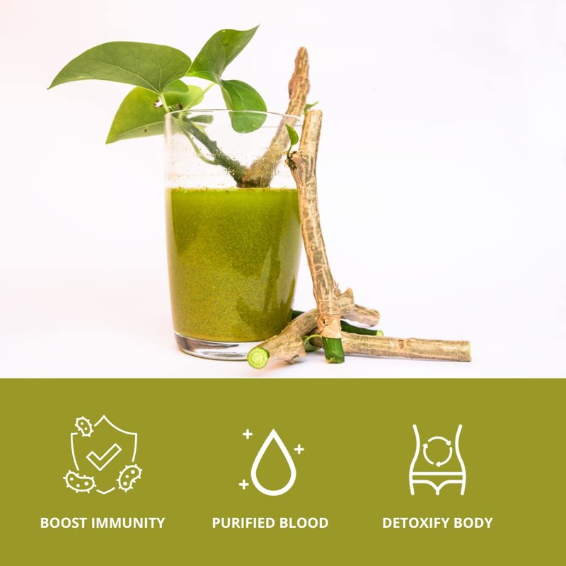 SVATV Giloy Powder | Guduchi | Tinospora cordifolia Stem Powder