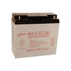 ENERSYS NP18-12B Lead Acid Battery, 12V, 17.2AH