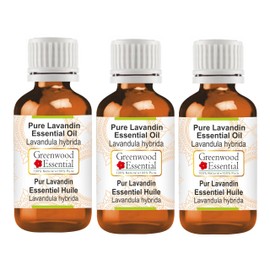 Greenwood Essential Pure Lavandin Essential Oil (Lavandula hybrida) Steam Distilled 100ml x 3 (10 oz)
