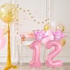 40 Inch Pink Crown Number 19 Balloons, 19th Birthday Balloons