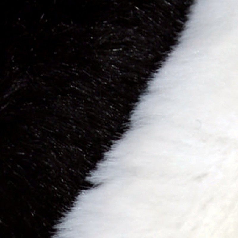 Kojima Tsusho Umbrella Cat Tail Cover, White