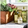 Fruits & Passion's Cucina Regenerating Hand Cream, Sea Salt and