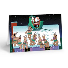 Stonehouse Collection - Christmas Cards Boxed with Envelopes, Funny Christmas Cards, Happy Holidays Cards, Funny Santa Holiday Greeting Card, Boxed Christmas Cards - Set of 18 (standard)