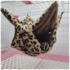 Fukufuku Luxury Hamster Hammock for Small Animals Pet Bed Sleeping