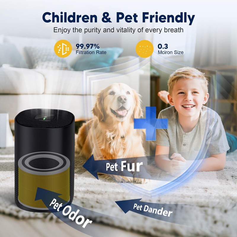 240 True HEPA 14 Pet Allergy Replacement Filter Compatible with