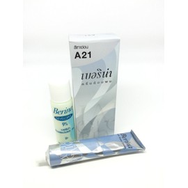 Berina Hair Color Cream Light Grey Silver A21 Permanent Hair Dye Unisex - Punk Style
