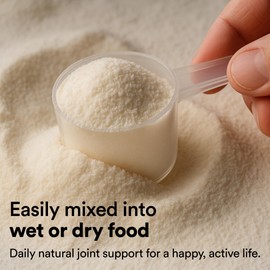 Pat's Pet Kitchen Mobility & Joints Powder for Dogs 180g | Collagen, Glucosamine & Vitamin blend for Joint & Muscles | Unflavoured, Dissolvable + Scoop