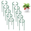 Plant Support Half Round 20 Pieces Flower Holder Plant Holder