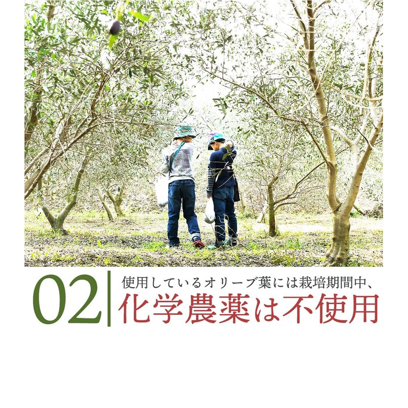 Mitoyo Olive Olive Powder Produced in Kagawa Prefecture, 1.8 oz