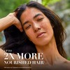 Herbal Essences Treatment Bio: Renew Hair Oil Blend Coconut &