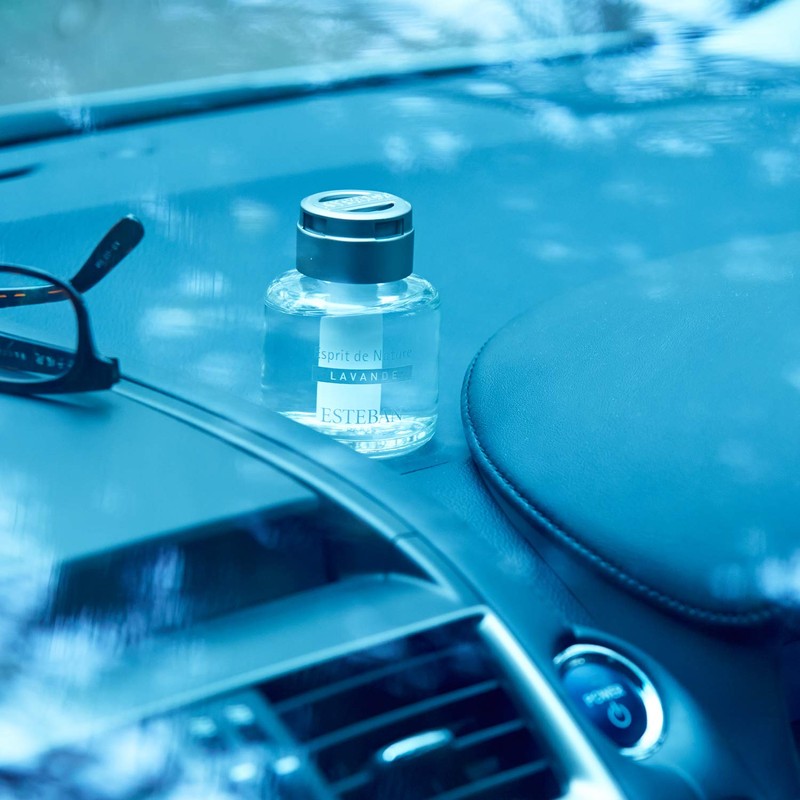 ESTEBAN Esprit De Natural Plum Liquid Air Freshener, 3.1 fl