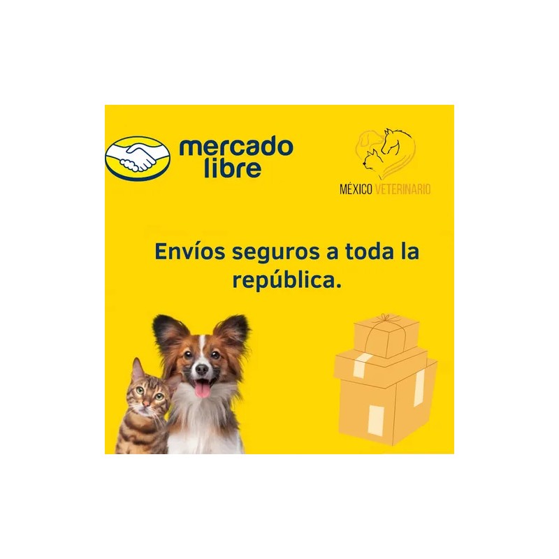 Flores De Bach Primeros Auxilios Para Perros Sugen