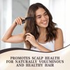 Scalp Comb, Pack of 2 Dandruff Comb & Birth Comb,