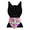 Collar Para Gato Con Paliacate Doble Vista