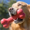 KONG Goodie Bone - Classic Durable Natural Rubber Dog Bone,