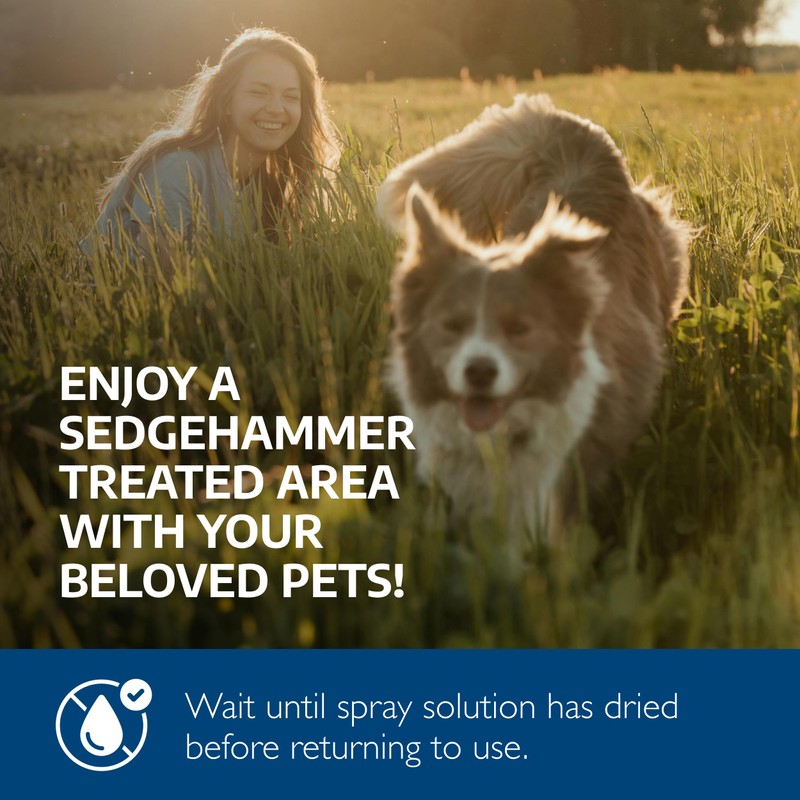 Sedgehammer Herbicide - 1 Pack of 1.33oz Bottle of USA-Made