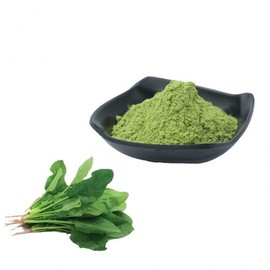Spinach Extract Powder 100g Sample
