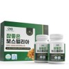 2 bottles of Very Good Boswellia 90 tablets / 참좋은